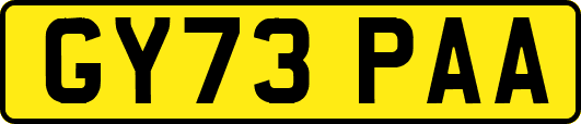 GY73PAA