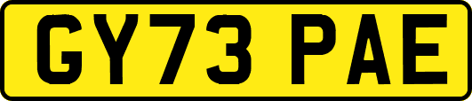 GY73PAE