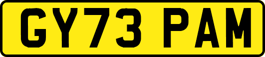 GY73PAM