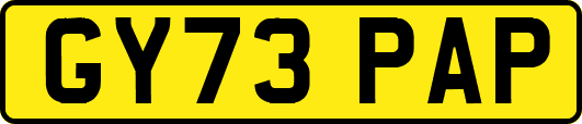 GY73PAP