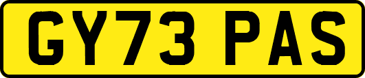 GY73PAS