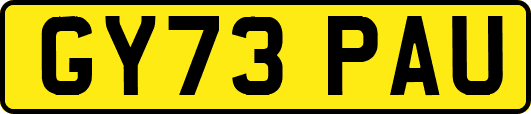 GY73PAU