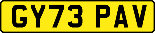 GY73PAV