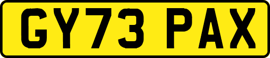 GY73PAX