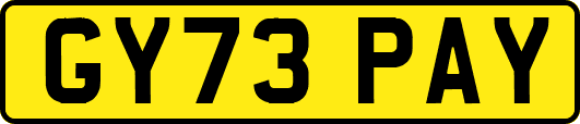GY73PAY