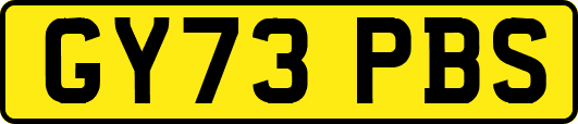 GY73PBS