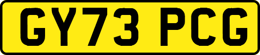 GY73PCG