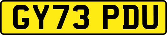 GY73PDU