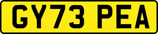 GY73PEA