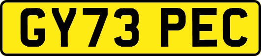 GY73PEC