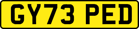 GY73PED