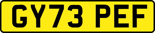 GY73PEF