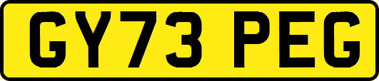 GY73PEG