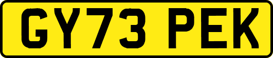 GY73PEK