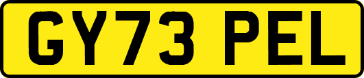 GY73PEL