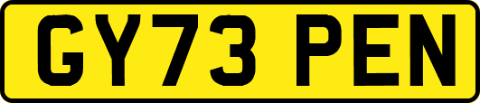 GY73PEN