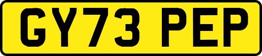 GY73PEP