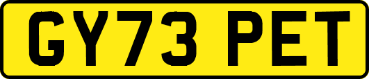 GY73PET