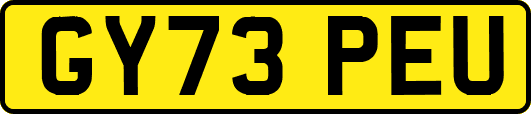 GY73PEU
