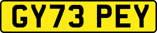 GY73PEY