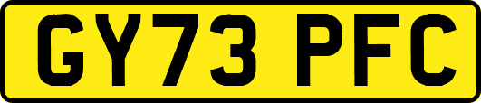 GY73PFC