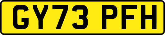 GY73PFH