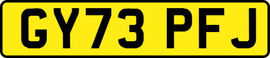 GY73PFJ