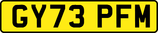 GY73PFM
