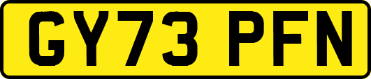 GY73PFN