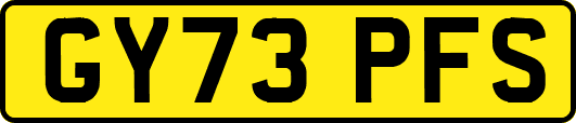 GY73PFS