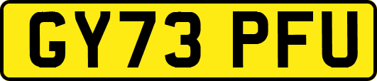 GY73PFU