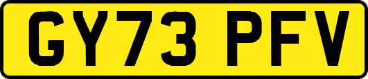 GY73PFV