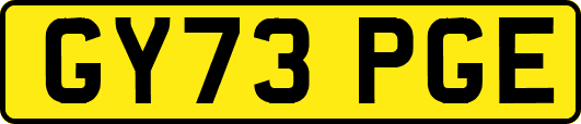 GY73PGE