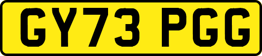 GY73PGG