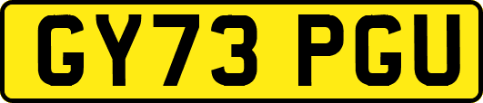 GY73PGU