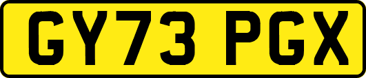 GY73PGX