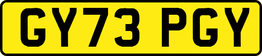 GY73PGY