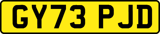 GY73PJD