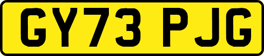 GY73PJG