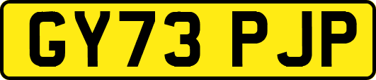 GY73PJP