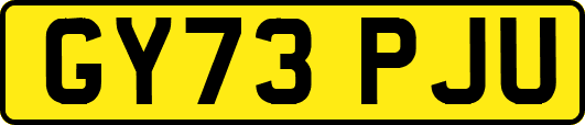 GY73PJU