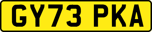 GY73PKA