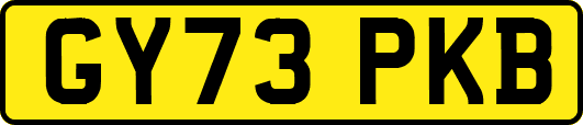 GY73PKB