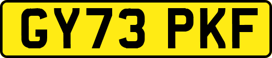 GY73PKF