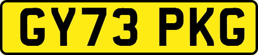 GY73PKG