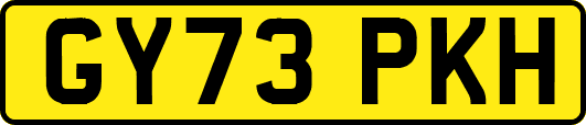 GY73PKH