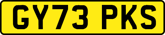 GY73PKS