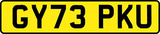 GY73PKU
