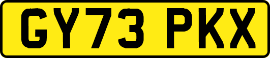 GY73PKX