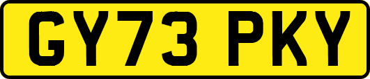 GY73PKY